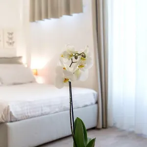  Apartment Santa Croce Italy